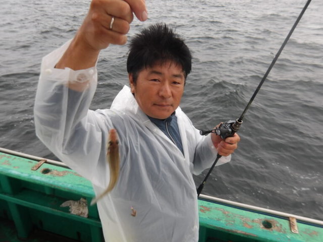 シロギス