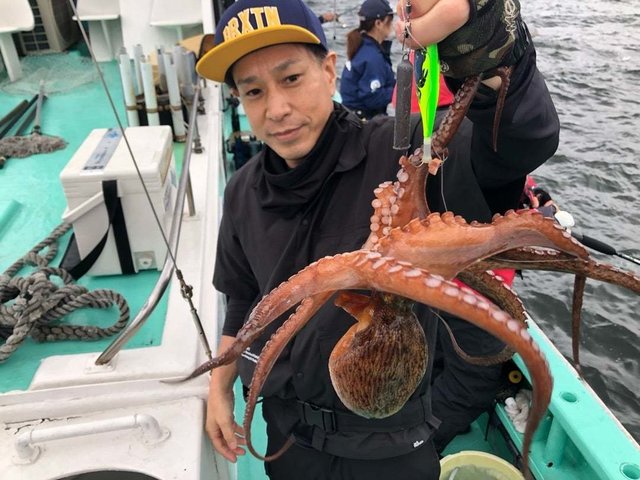 タコ(マダコ)