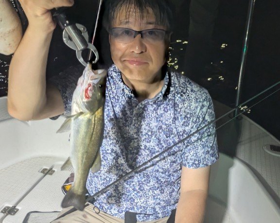 シーバス(スズキ)