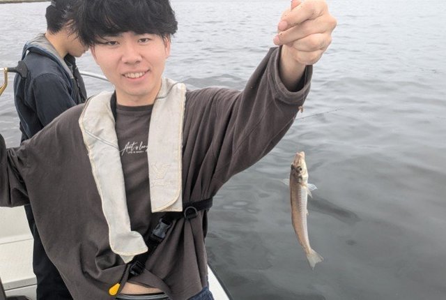 シロギス