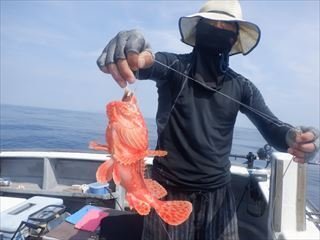 オニカサゴ