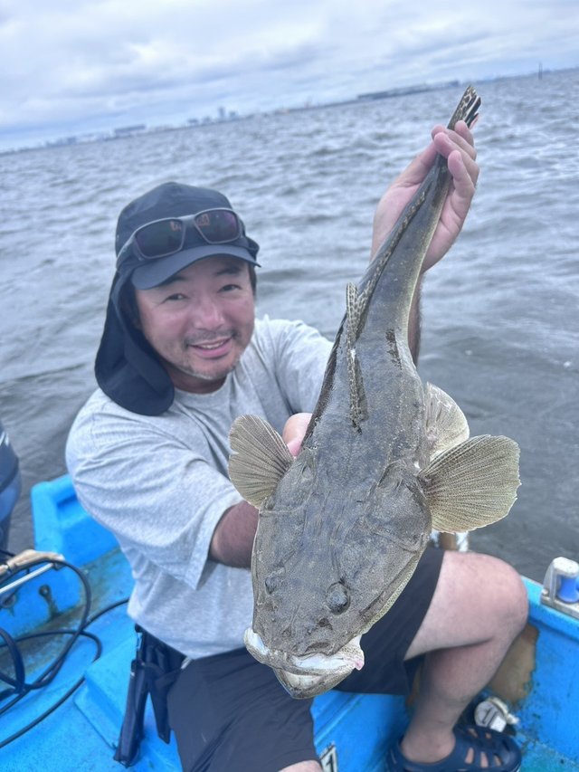 マゴチ