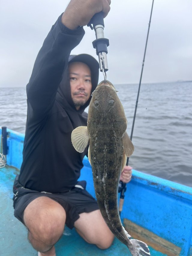 マゴチ