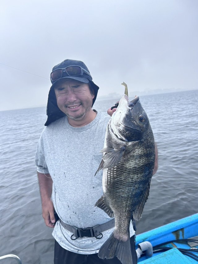 クロダイ