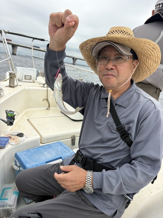 シロギス