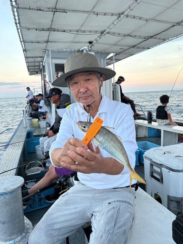 アジ(マアジ)