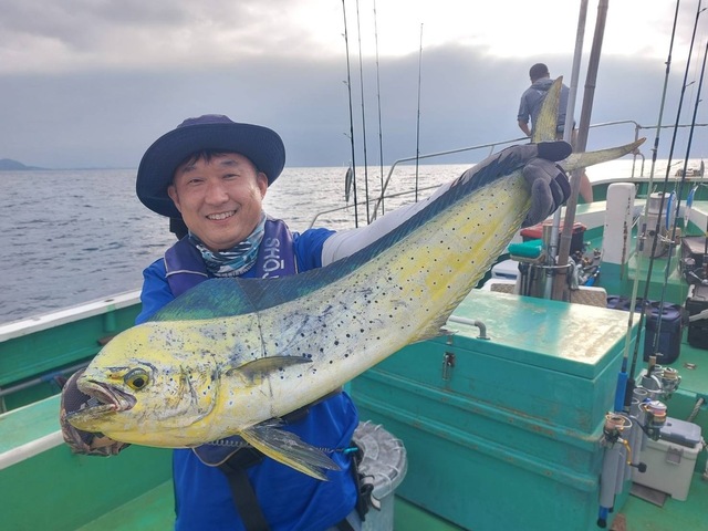 シイラ