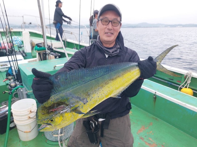 シイラ