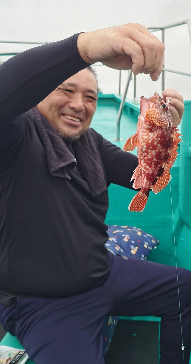 カサゴ