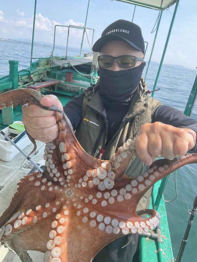 タコ(マダコ)