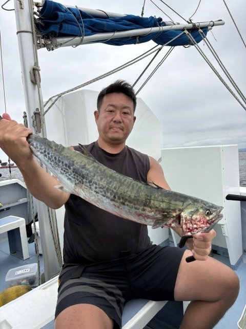 サワラ