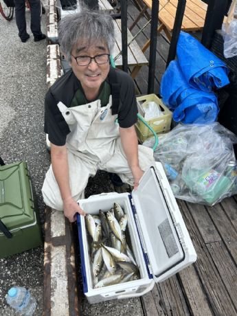 アジ(マアジ)
