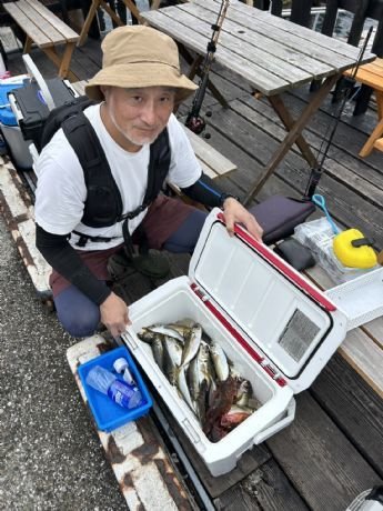 アジ(マアジ)