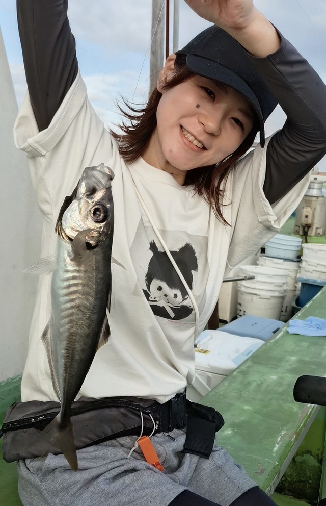 アジ(マアジ)