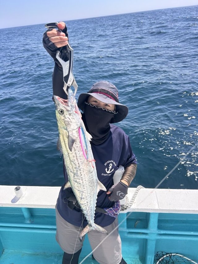 サワラ