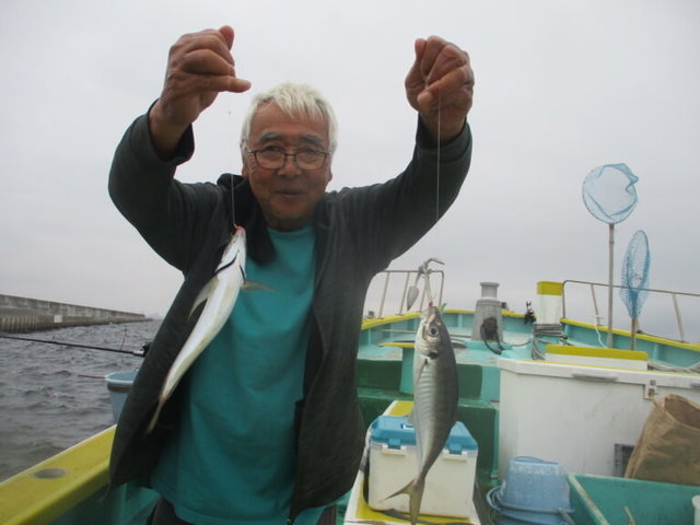 アジ(マアジ)