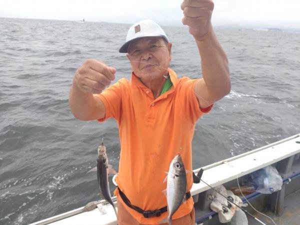 アジ(マアジ)