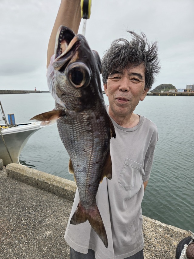 クロムツ