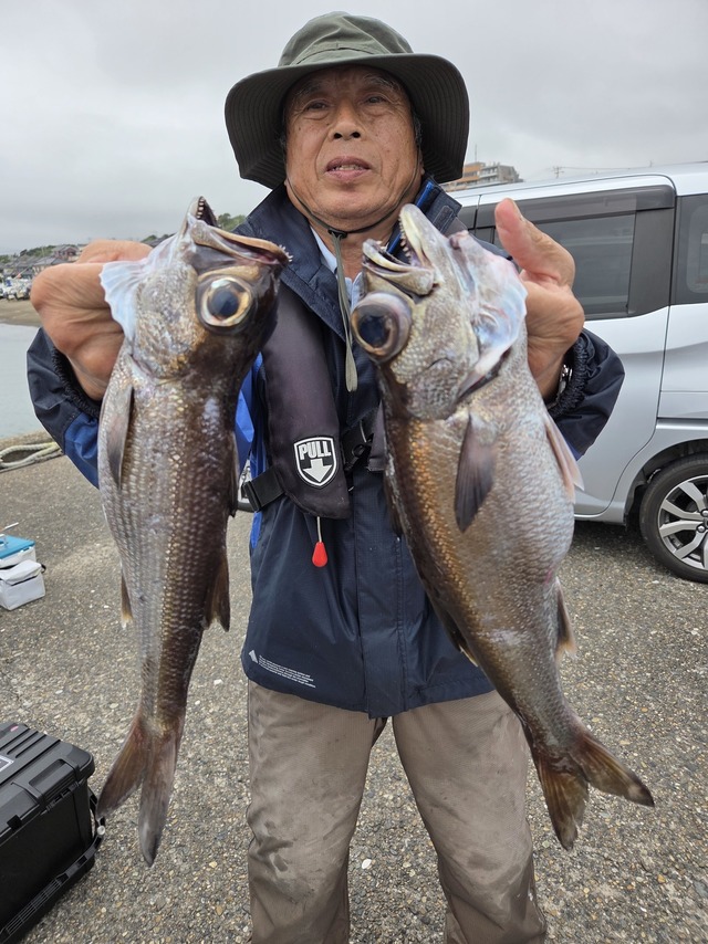 クロムツ
