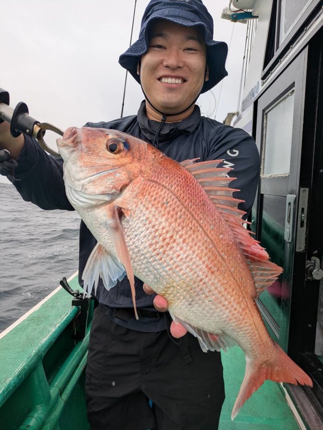 マダイ