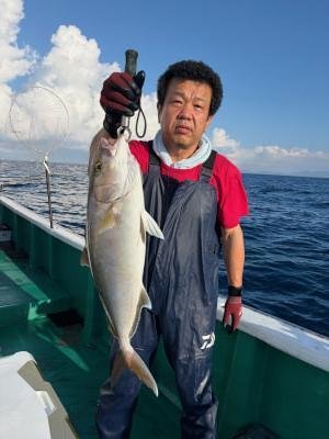 カンパチ