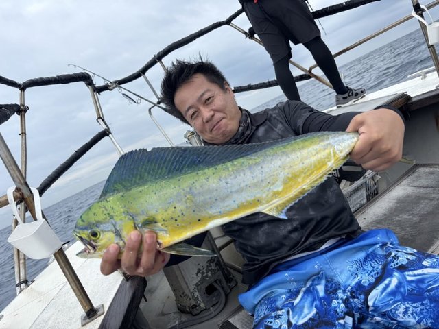 シイラ