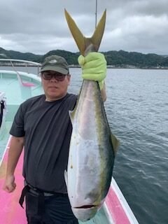 ブリ