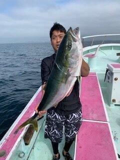 ブリ