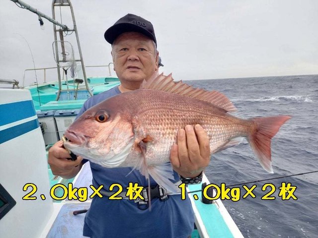 マダイ