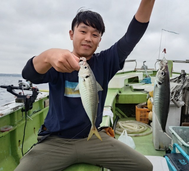 アジ(マアジ)
