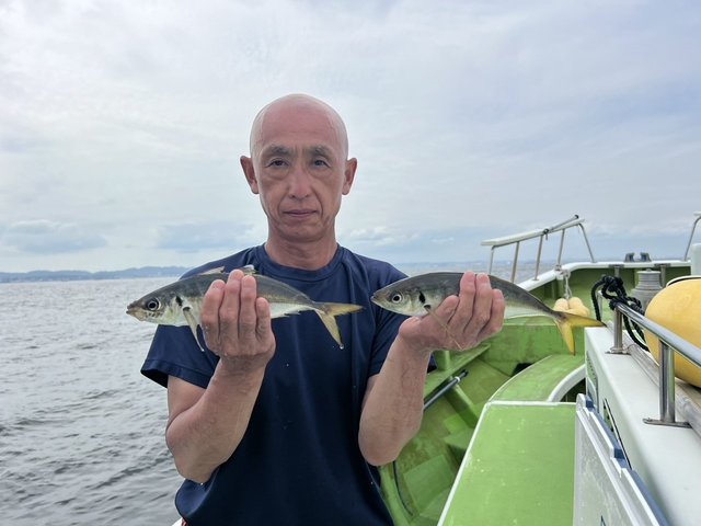 アジ(マアジ)
