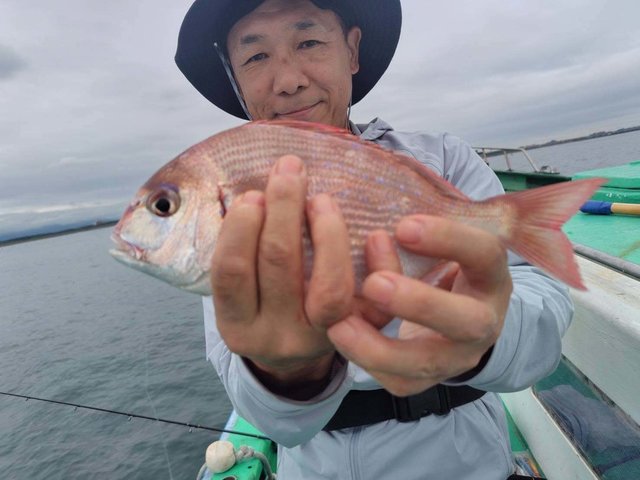 ハナダイ(チダイ)