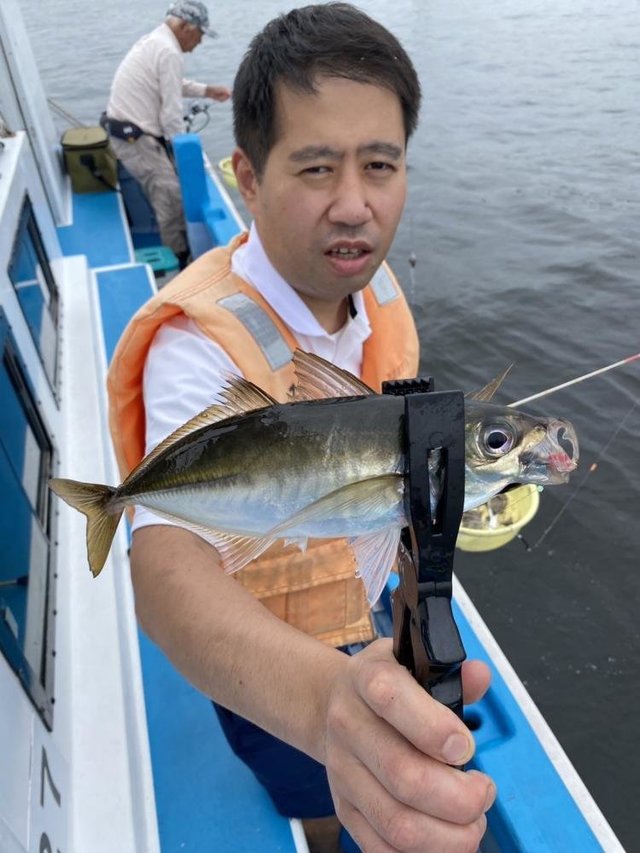 マアジ