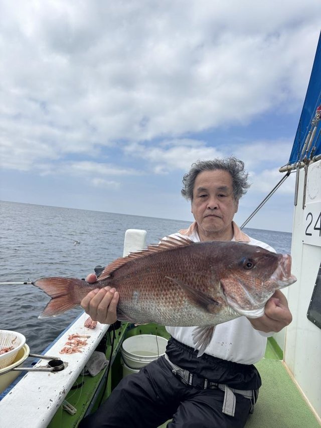 マダイ
