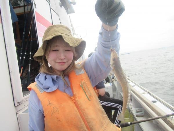 シロギス