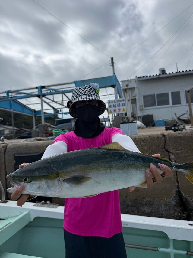 ハマチ(ブリ)