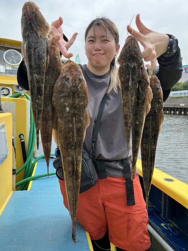 マゴチ