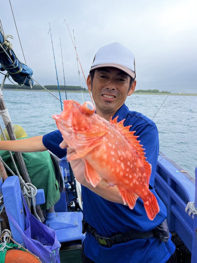 ウッカリカサゴ