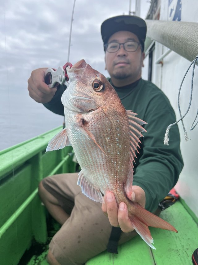マダイ
