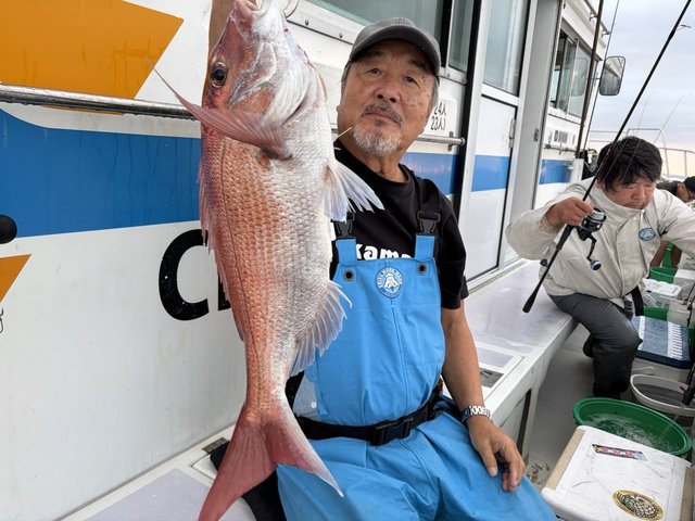 マダイ