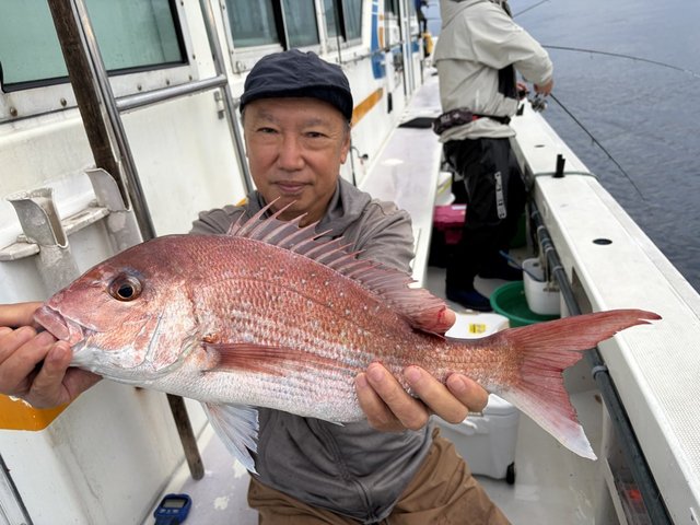 マダイ