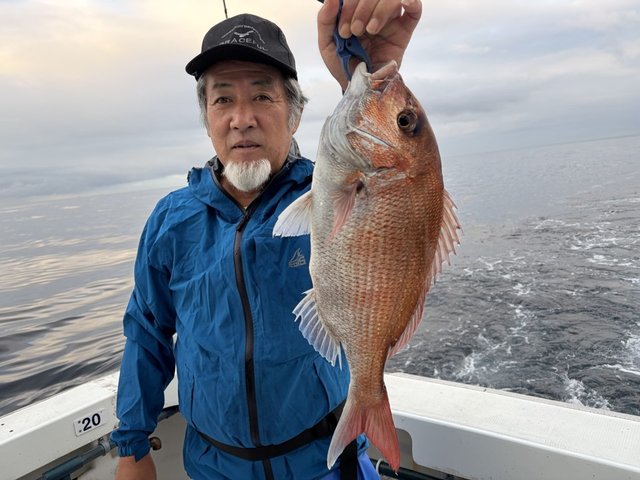 マダイ