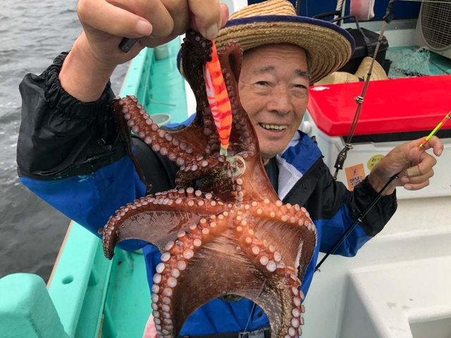タコ(マダコ)