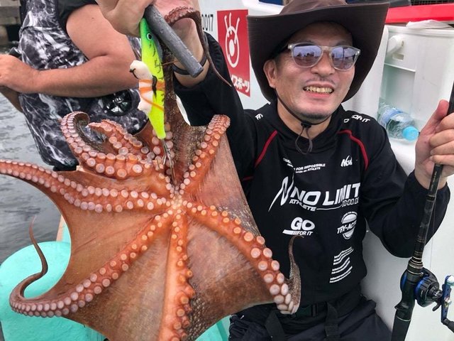 タコ(マダコ)