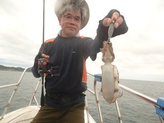 アオリイカ