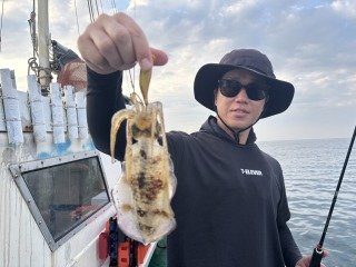 アオリイカ