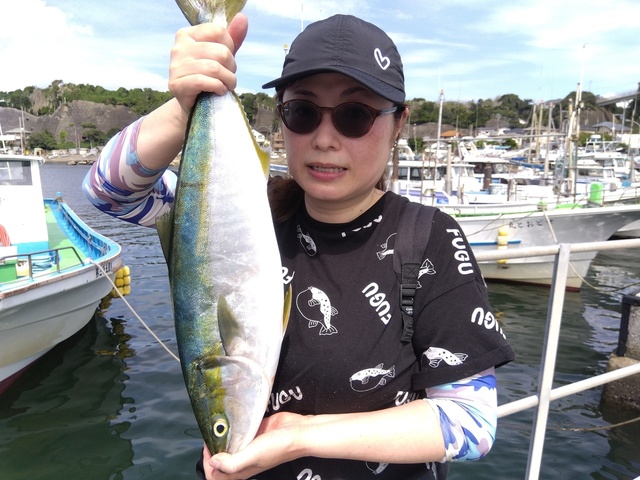 ワラサ(ブリ)