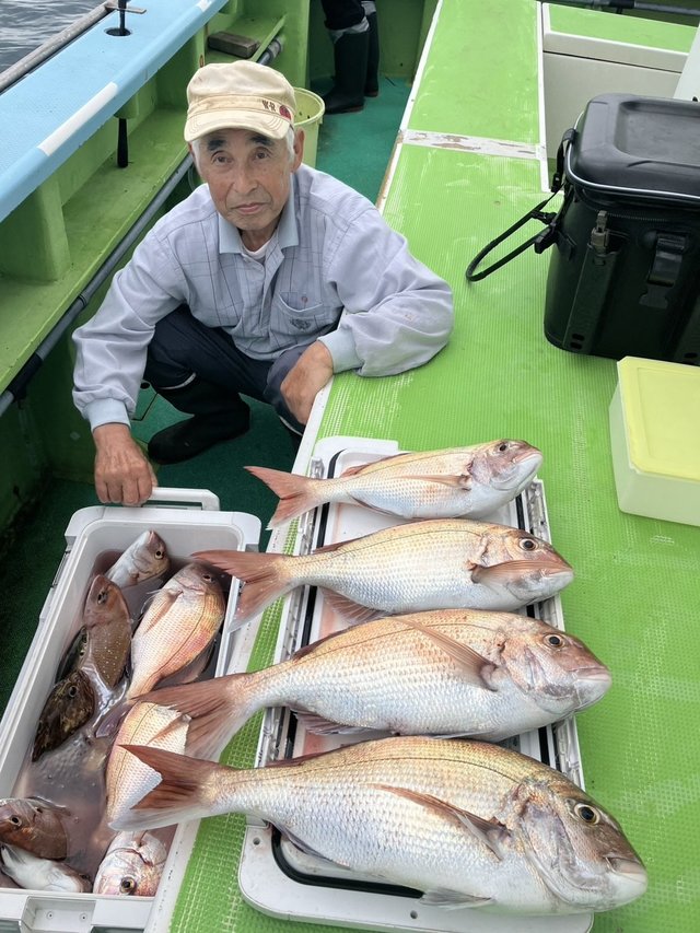 マダイ