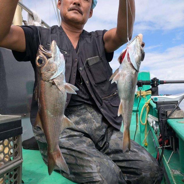 クロムツ