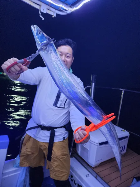 タチウオ
